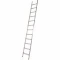 rise-tec-12-step-ladder-lean-on-8606000012-1.jpg
